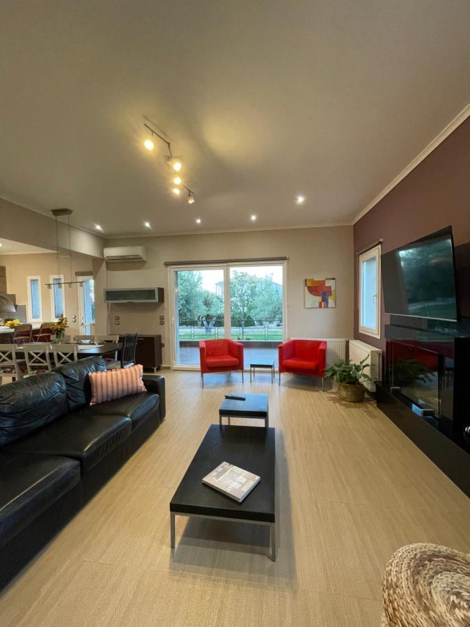 Apollon Paian , Luxury Nature Relax Lefkada City Bagian luar foto