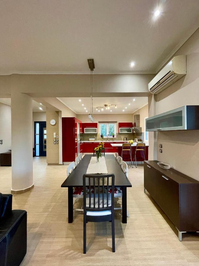 Apollon Paian , Luxury Nature Relax Lefkada City Bagian luar foto