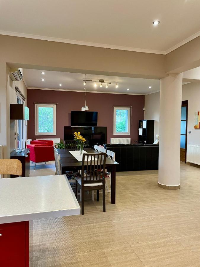 Apollon Paian , Luxury Nature Relax Lefkada City Bagian luar foto